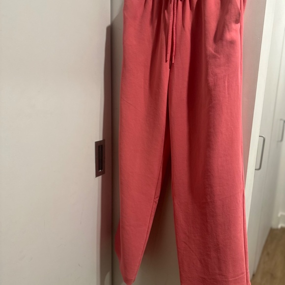 Pink Crepe Wilfred Pants - Picture 2 of 2